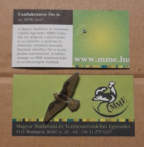 Mme saker falcon flying - mme,