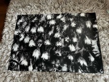 Acrylic Glass Wall Art Print Wildebeest Herd Perfect Condition - Large 100x70 cm