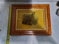 Vintage Birds Eye Maple Frame