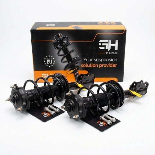 Gas complete struts - 2x,