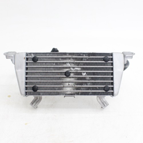 2023 2024 bmw 1000 - rr, sport