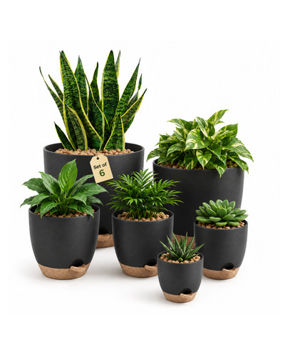 Bamworld pcs self watering - bamworld,
