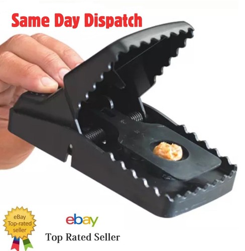 Trapper rex rat trap rats - rat,