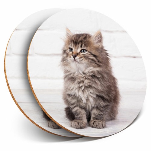 Coasters fluffy kitten - fluffy,