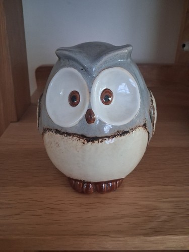 Cute ceramic owl money box - ceramic,