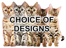 Bengal Tabby Cat Self Adhesive