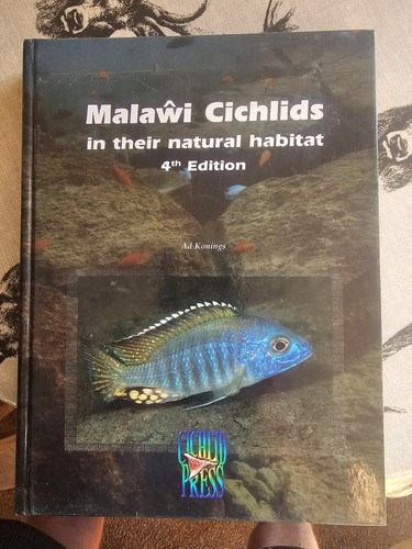 Malawi cichlids their - cichlids,