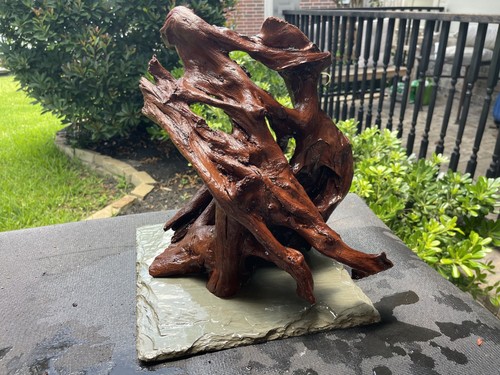 Driftwood malaysian aquariums - malaysian,