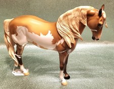 Peter stone Andalusian