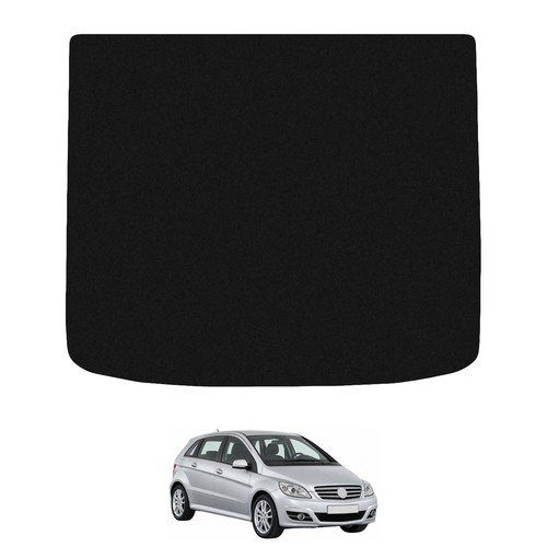 Carsio tailored carpet car - carpet,