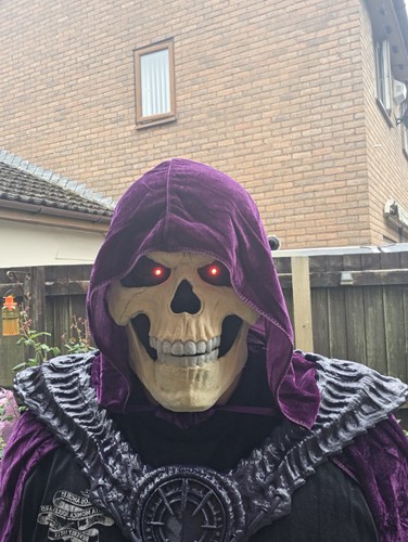 Skeletor mask printed - skeletor, 3d
