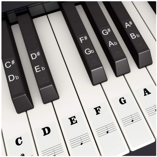 Transparent piano key - key, stickers