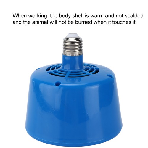 Livestock heat lamp - livestock,