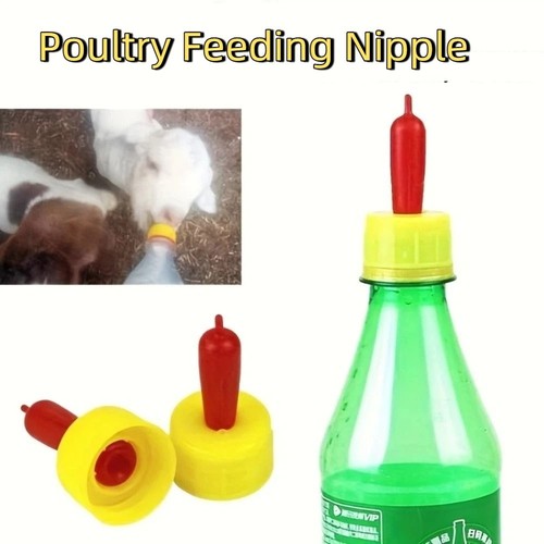 12pcs lamb milk drink nipple - 12pcs,