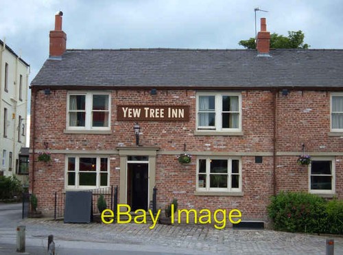 Photo 6x4 yew tree - yew, inn