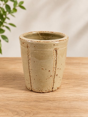 Rustic glazed ceramic - rustic, plant