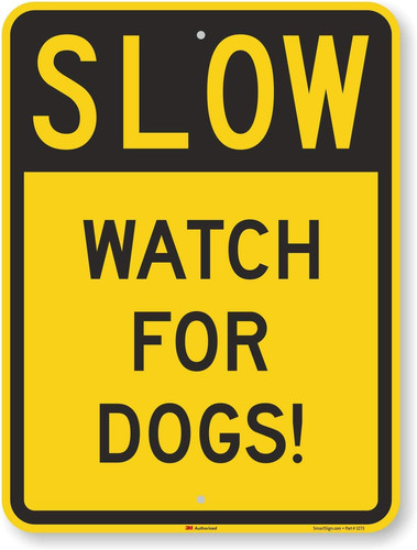 Slow watch for - -,