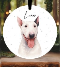 English Bull Terrier Christmas