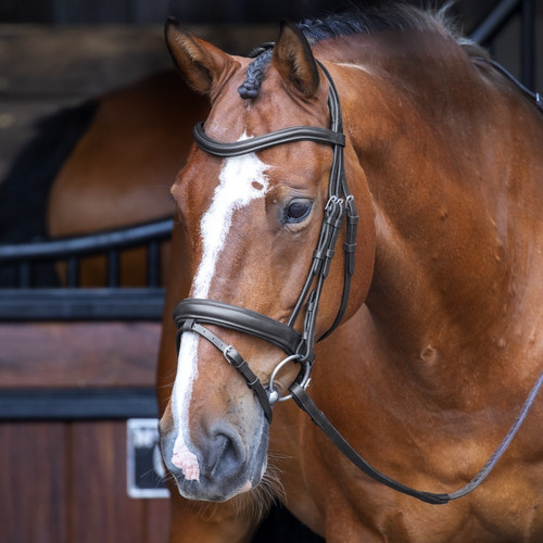 Shires velociti rapida - shires,