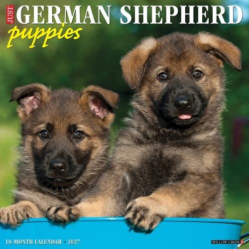 German shepherd puppies 2027 - german,