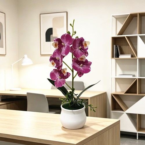 29cm potted fake phalaenopsis - 29cm,