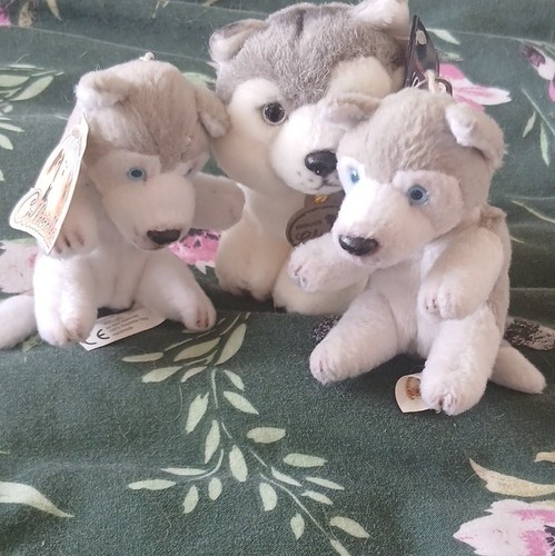 Aurora classic husky - aurora,