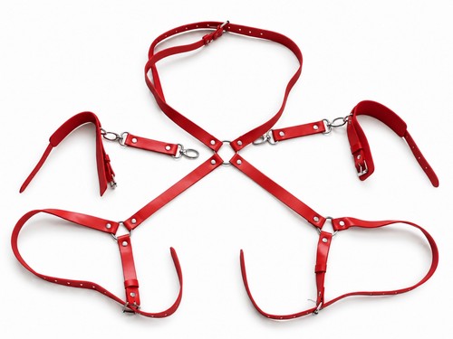 Red faux leather - red, harness