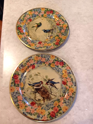 Daher floral bluebird - daher,