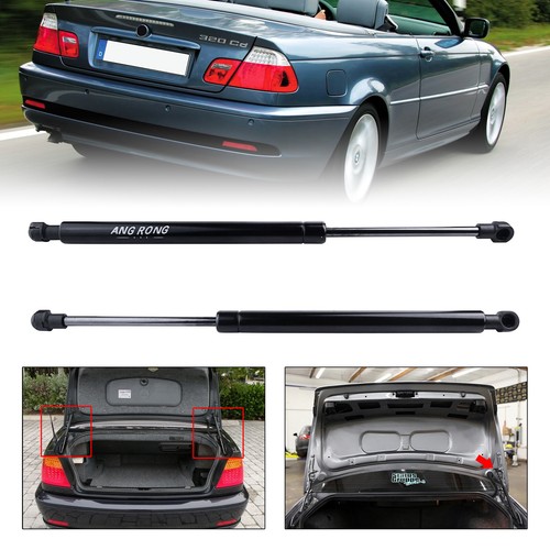 Tailgate rear gas support - rear,