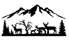 MOTORHOME CAMPER VAN CARAVAN