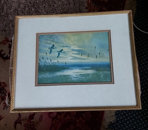 Vintage peter scott - peter,