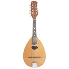Timothy Mandolin PM600 Round