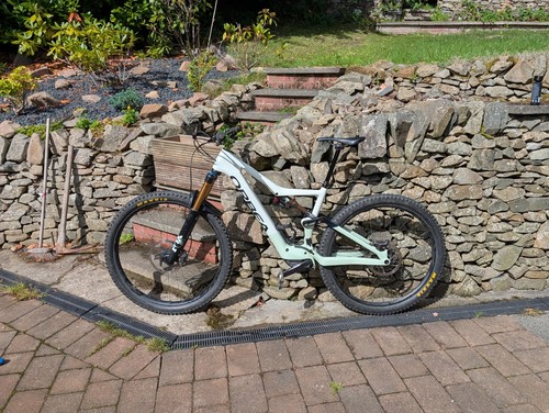 Orbea rise team size - m,