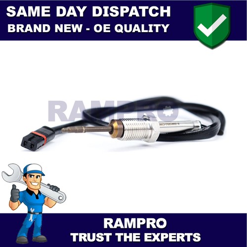 Rampro before cat exhaust - cat,