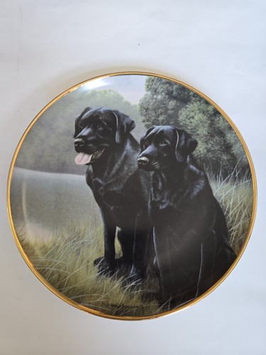 Sporting companions - 'sporting, companions'