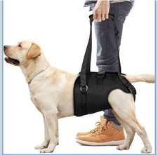 Chalklit Dog Sling for