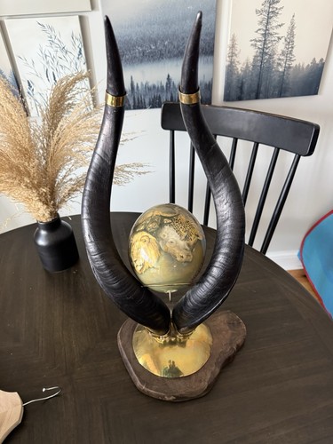 Authentic kudu horn ostrich - kudu,