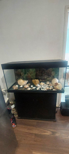 Juwel glass aquarium fish tank - aquarium,