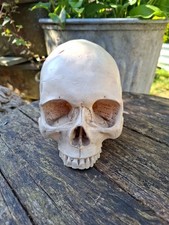 Replica human skull excellent - skull,,