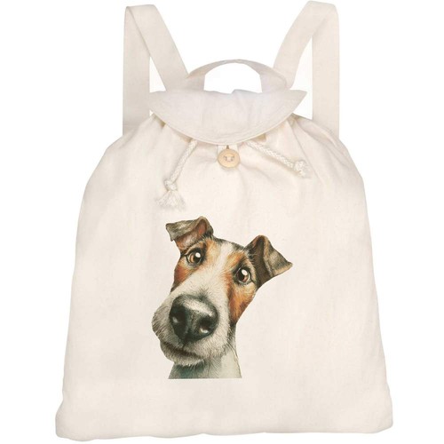 Fox terrier dog - terrier, portrait'