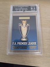 FA Premier League Trophy