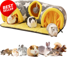 Guinea Pig Tunnel Hideout –