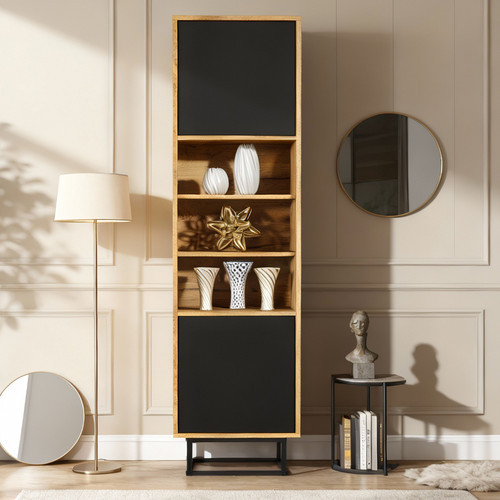 Display cabinet bookcase - display,