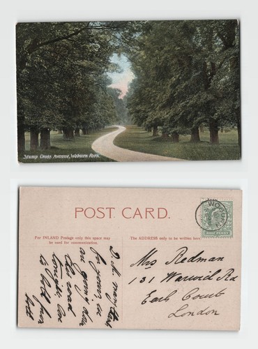 Postcard stump cross avenue - cross,