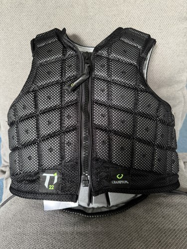 Champion t22 level - level, body