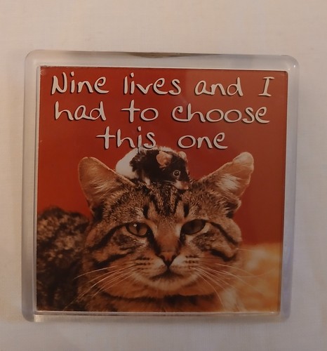 Collectable cat magnet lives - 9,