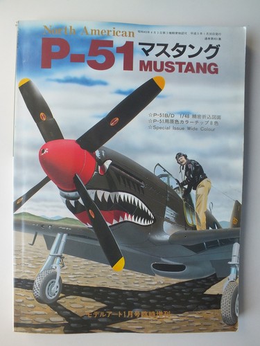 North american mustang - american,