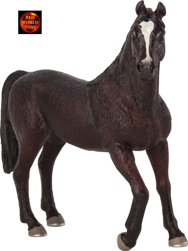 Black arabian arab stallion - black,