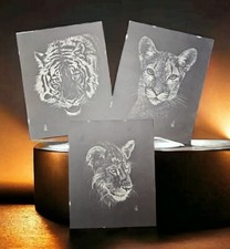 J Hill 1970s Wildlife Art