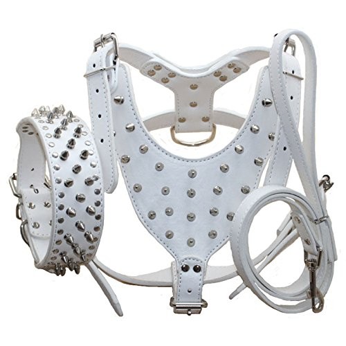 Haoyueer leather spiked - haoyueer,